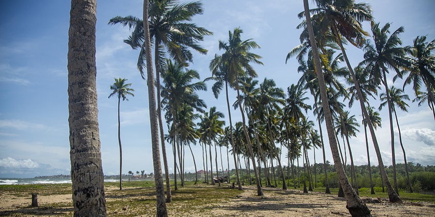 Several factors affect kayaking in Alleppey which visitors must consider before planning.