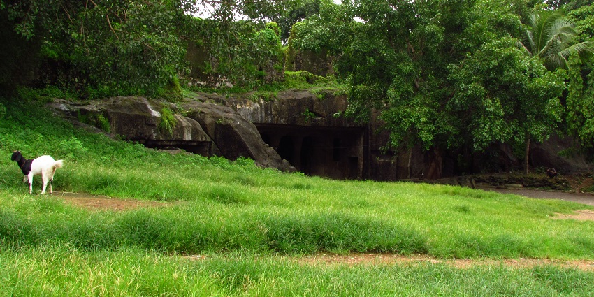 Architectural detail of Mandapeshwar Caves surrounded by lush greenery all around.