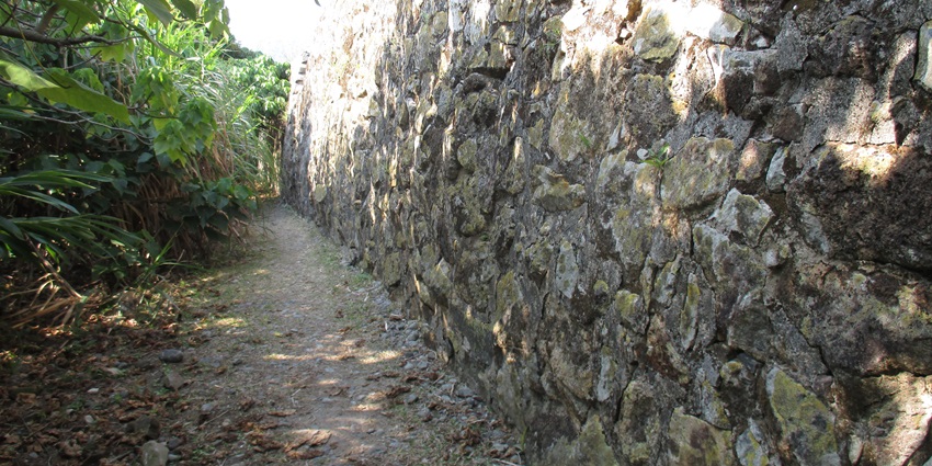 Panoramic view of Iconic Tung Fort surrounded by the lush green dense jungle.