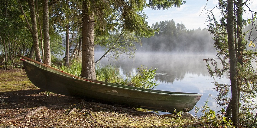 A boat navigates a calm river bordered by a dense forest, showcasing nature's view.