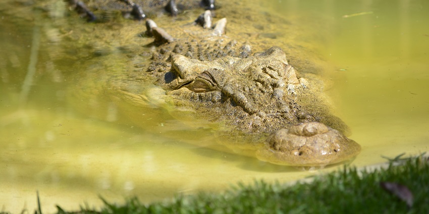 Some factors need to be considered while planning a trip to a diverse national park.
