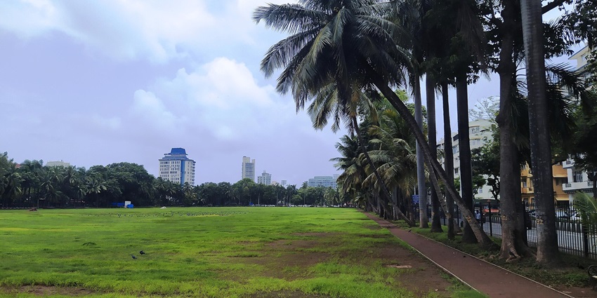 Lush Oval Maidan surrounded by colonial buildings and vibrant activities