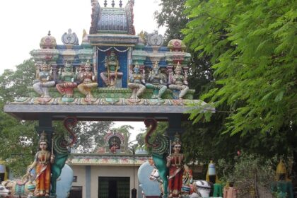 Image of Pachaiamman Temple in Tamil Nadu, India - surrounded by lush green trees during day time