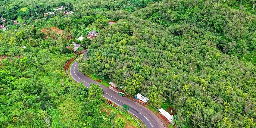 An image of Pachmarhi hill station showcasing its dense forests, home to scenic waterfalls