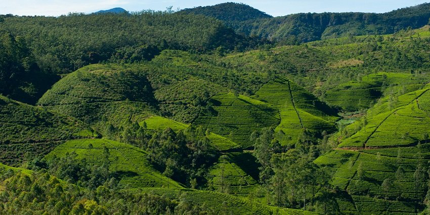 A scenic view of Pachmarhi Hill Station, surrounded by green hills and cascading waterfalls.