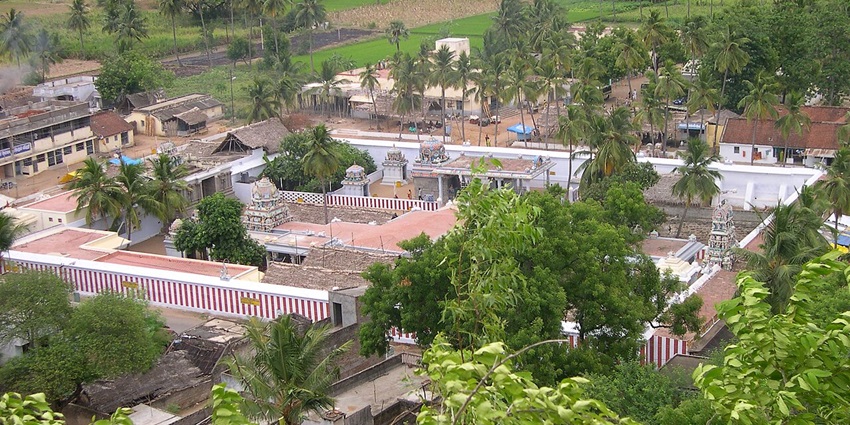 Aerial view of the Padavedu village surrounded by lush trees and houses.