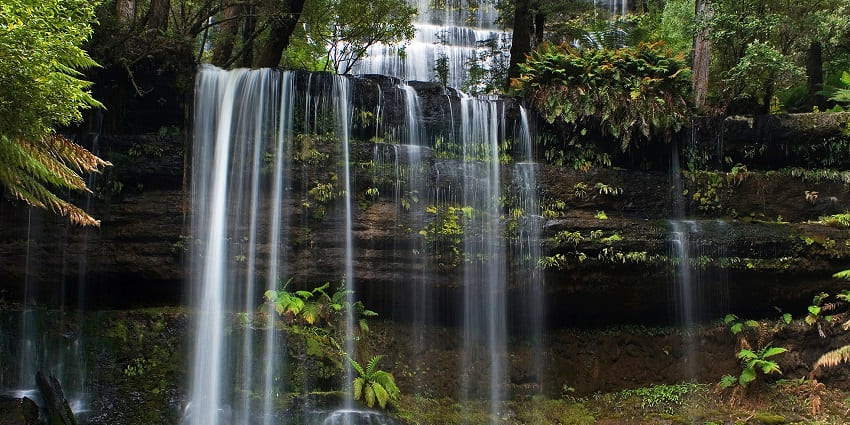 A serene forest waterfall cascading over rocky ledges, surrounded by lush green foliage.