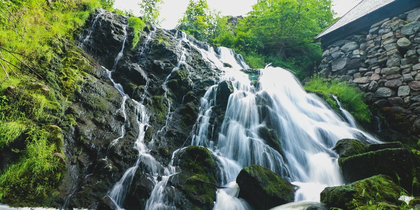 Sunlight filters through a dense forest with one of the beautiful Kodaikanal waterfalls