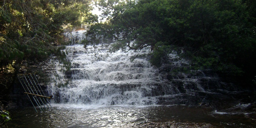 Picture-perfect view of Pambar Falls in Kodaikanal with a vigorous ecosystem for travellers