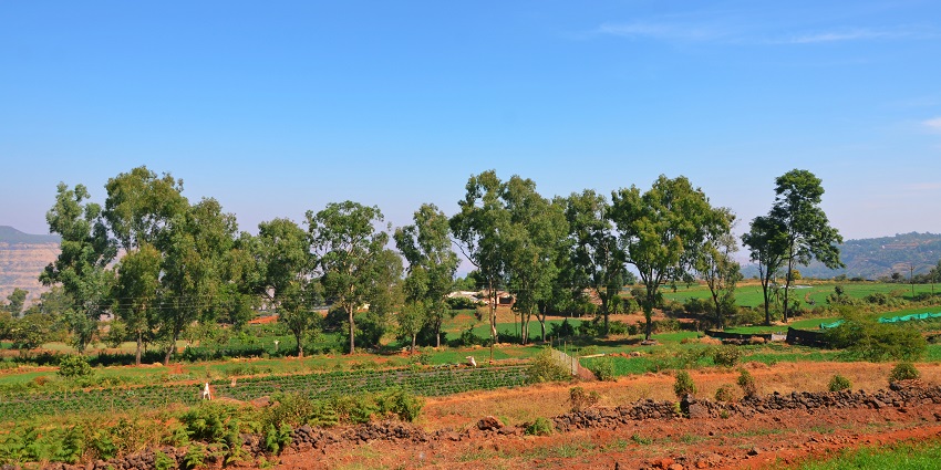Panchgani, is among the best places to visit in Maharashtra in March with strawberry farms and Table Land