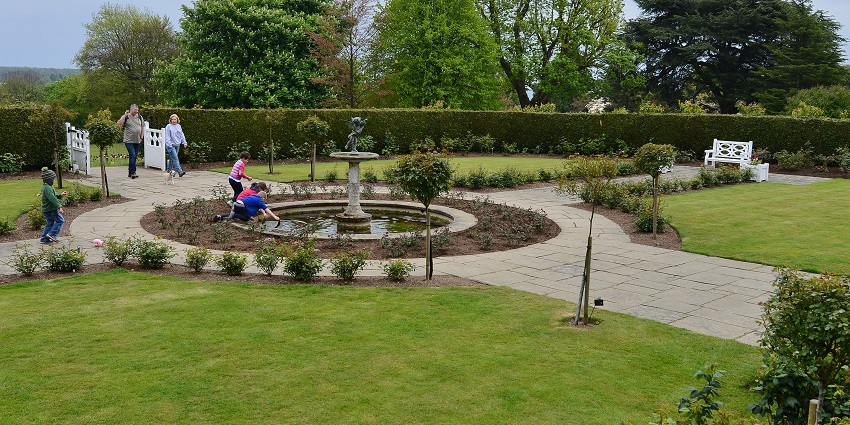 Rose garden filled with blooming roses and people set against a lush green landscape