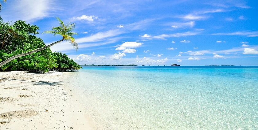 An image of the serene Pandawa Beach with golden sands and clear waters under a blue sky.