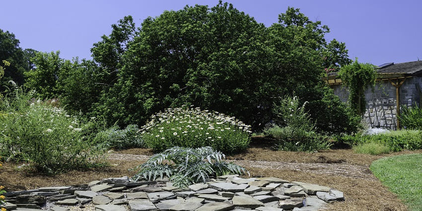 An image of a green garden with stone paths, similar to Netaji Subhash Chandra Bose Garden
