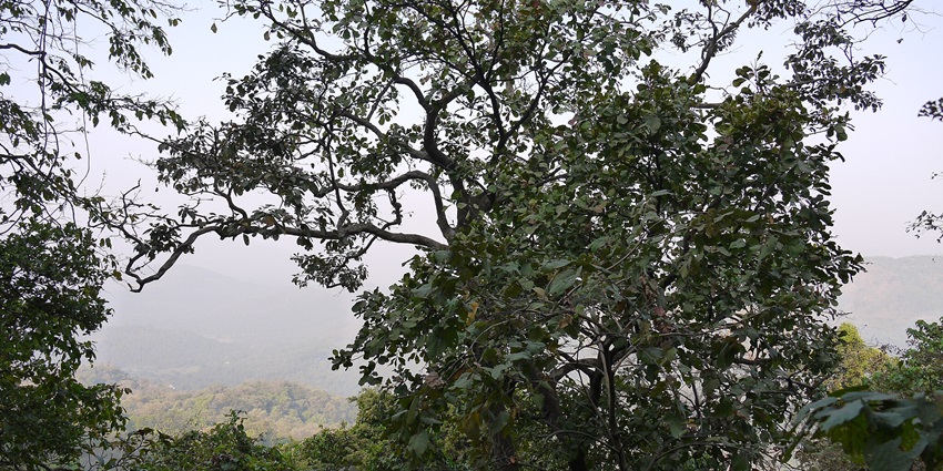 A picture of Panvel which lies only 40 km from Mumbai and is surrounded by Sahyadri hills
