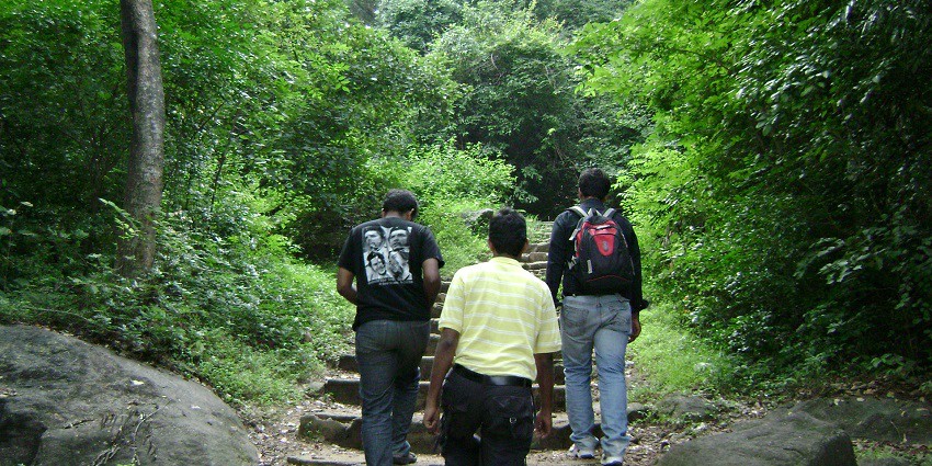 An image of Papanasam Falls, surrounded by lush greenery