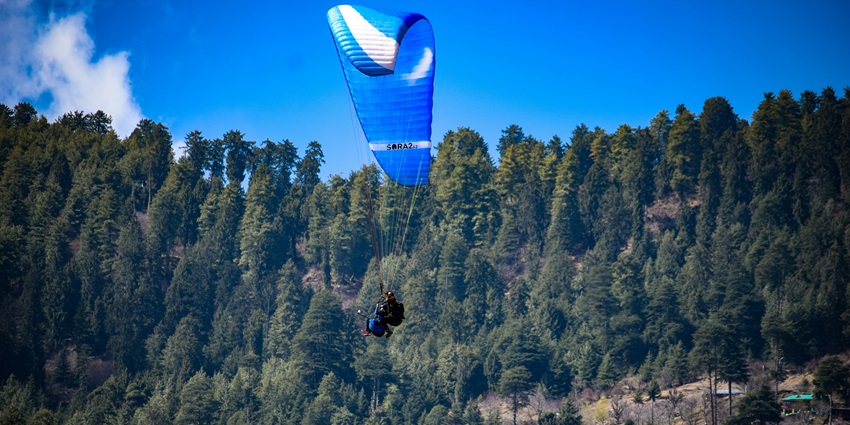 A glimpse of a person gliding high up in the air, surrounded by lush green vegetation.