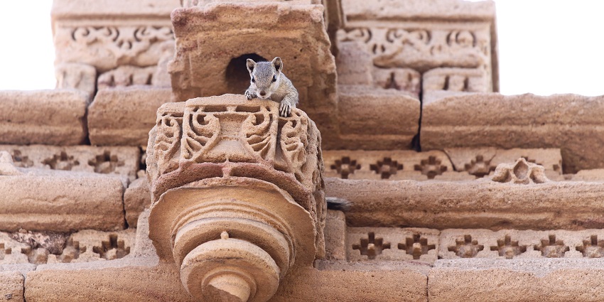 Exquisite architecture at the Parson Temple in Faridabad.
