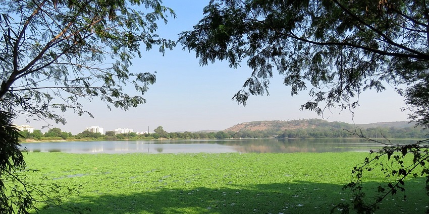 Places to visit in Pune with family feature Pashan Lake, the Serene spot for relaxation, birdwatching, and photography.