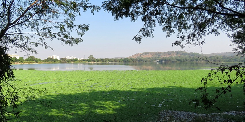 This image describes the scenic beauty of the wonderful Pashan Lake.
