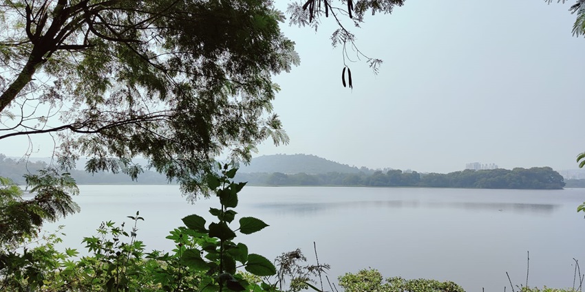 Pashan Lake is a peaceful retreat and one of the places to visit in Pune in monsoon