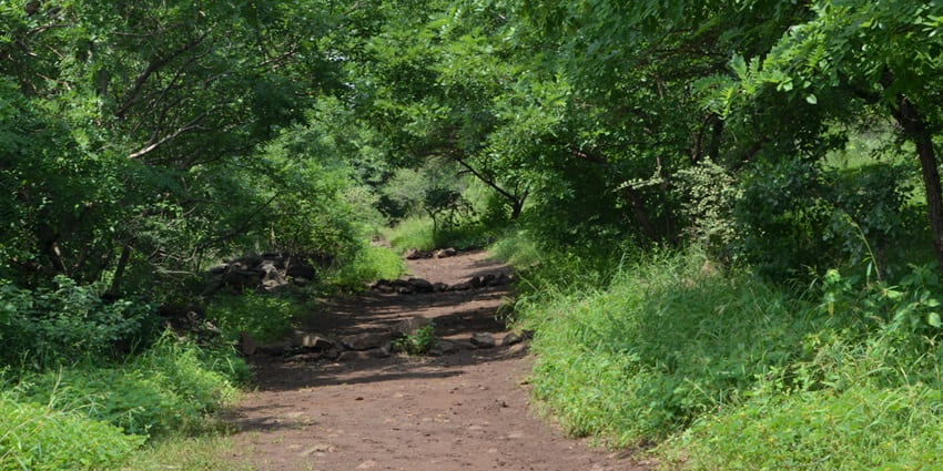 Pashan Tekdi is one of the most interesting places to visit in Pune with friends.