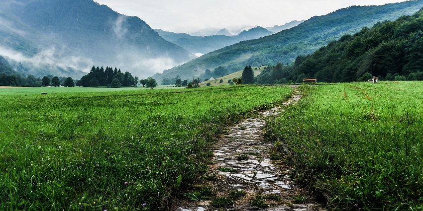 An image view of Patalkot Valley, showcasing stunning landscapes, dense forests, and rich biodiversity.