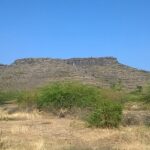 Exterior view of a historic fort showcasing its lush green surroundings