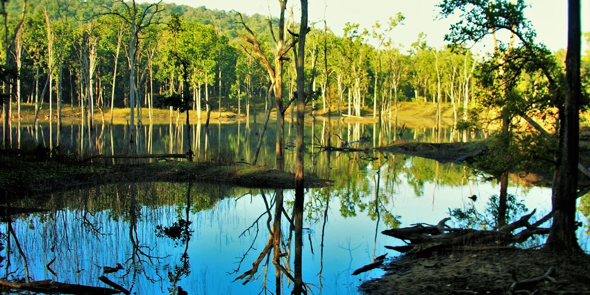Picturesque view inside Pench National Park, with the vibrant landscapes reflecting into the lake