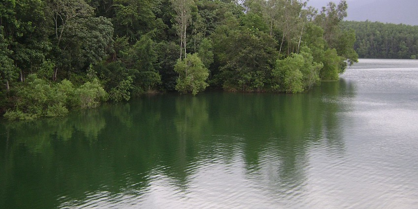 Peppara Wildlife Sanctuary is one of the best places to visit in Kerala.
