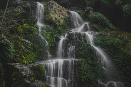 An image of the majestic Periyar Waterfall is on the Kalvarayan Hills, Tamil Nadu.