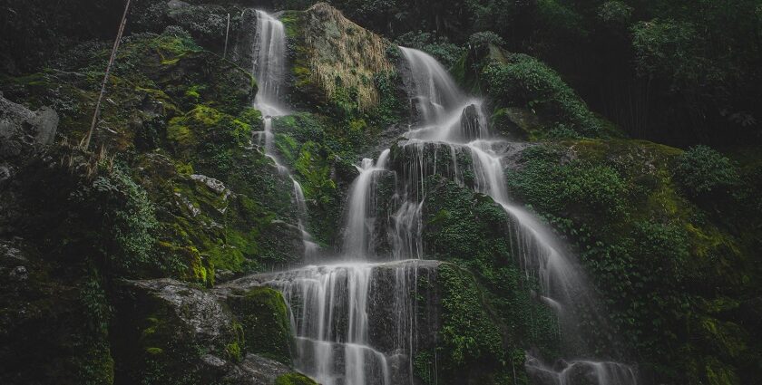 An image of the majestic Periyar Waterfall is on the Kalvarayan Hills, Tamil Nadu.