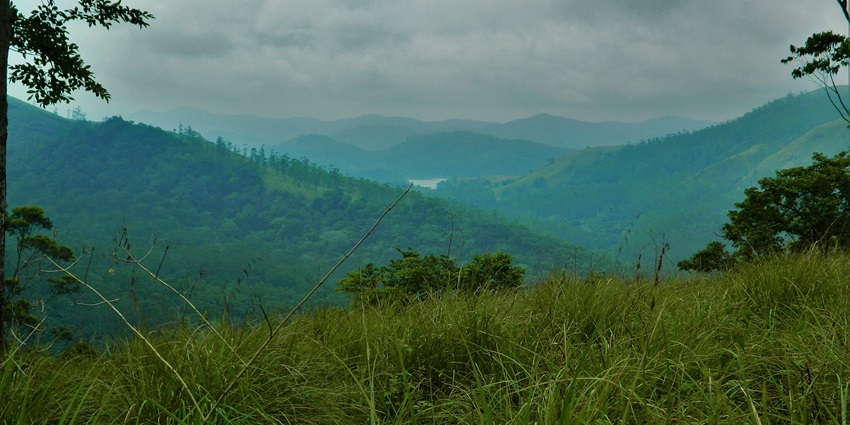 Periyar Wildlife sanctuary home to diverse flora and fauna, ideal for exploration