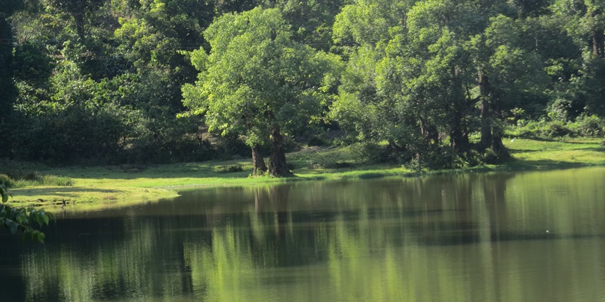 Picturesque view of Perumbadi Lake with lush greenery surrounded near the body of water