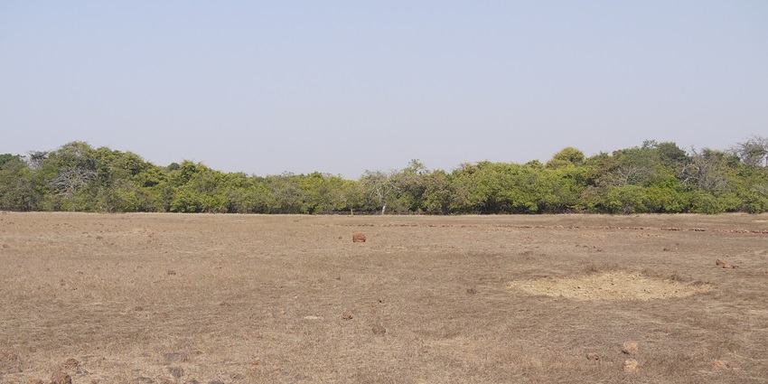Enclosed by lush greenery, Phansad Wildlife Sanctuary is a must-visit attraction here.