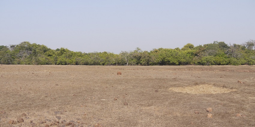 Explore the lush greenery and diverse wildlife at Phansad Wildlife Sanctuary.