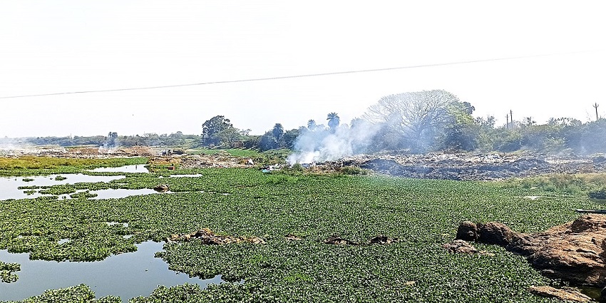 A scenic view of the Mula-Mutha River at Loni Kalbhor, surrounded by lush greenery.