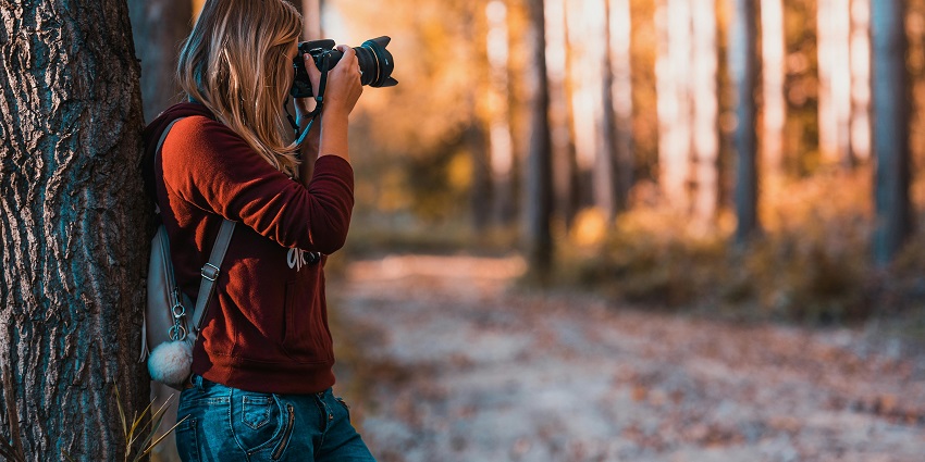 A picture of a photographer who can be seen capturing the scenic beauty of Pichavaram