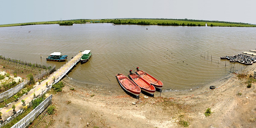 Places to visit near Chidambaram feature lush mangrove forest offering scenic boat rides and nature exploration.