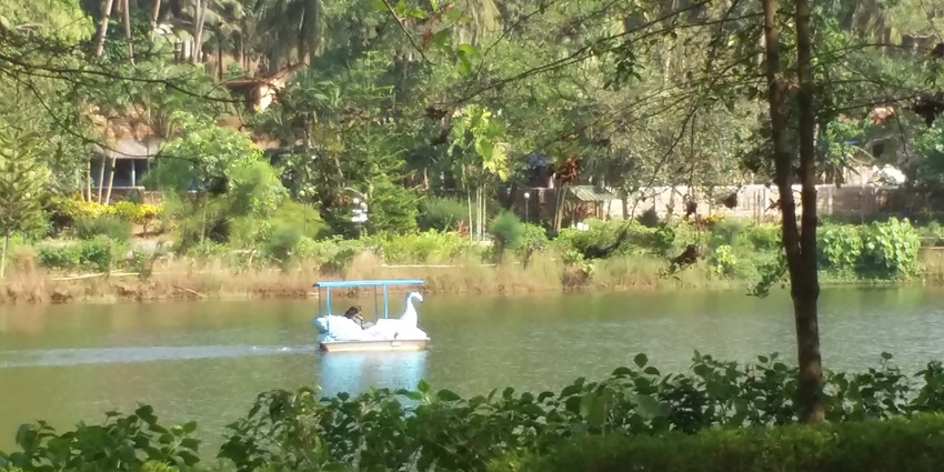 Pedal boat floating on a serene lake in Pilikula Botanical Garden–places to visit in mangalore for couples