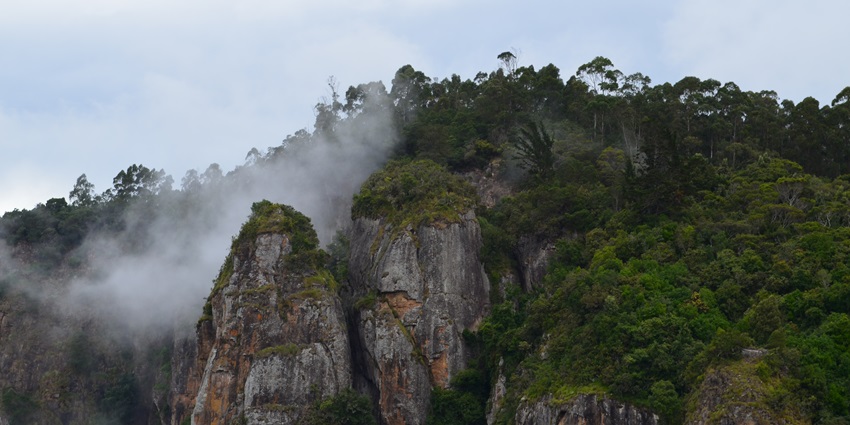 Explore the majestic Pillar Rocks rising tall amidst mist in Kodaikanal, a tourist spot.