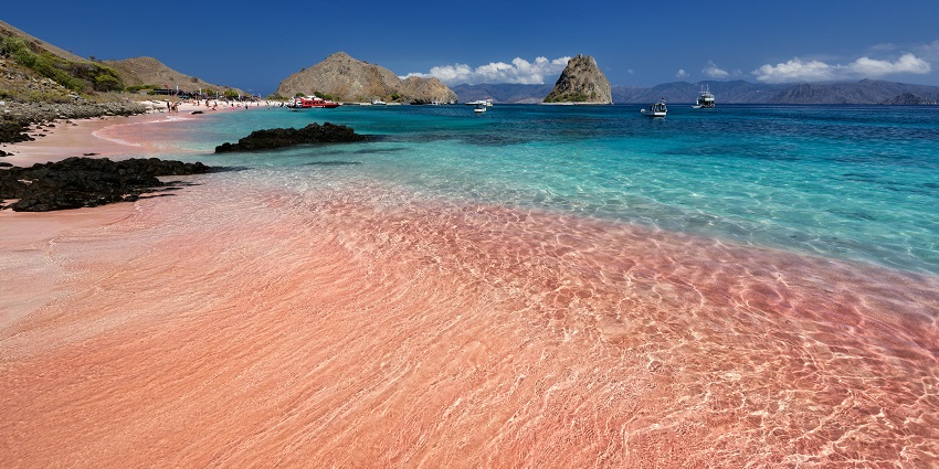 A sandy beach with pink-hued sand and crystal clear blue water, creating a stunning contrast in a peaceful coastal landscape