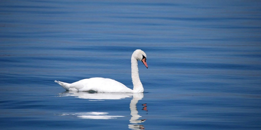 Pipliyapala Regional Park, one of the best family-friendly places to visit in Indore