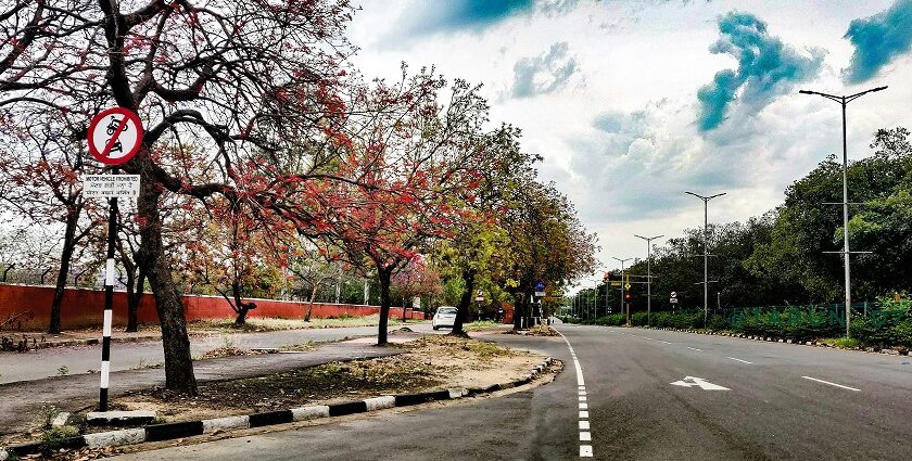 A red leaf and a grey concrete road under a blue sky during the daytime in Chandigarh.