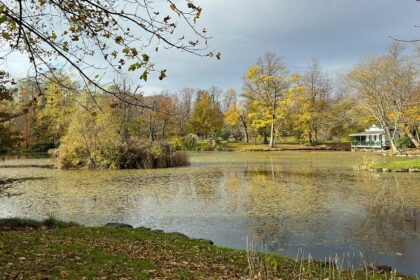 A glimpse of a verdant garden decked with lush green vegetation and azure waters.