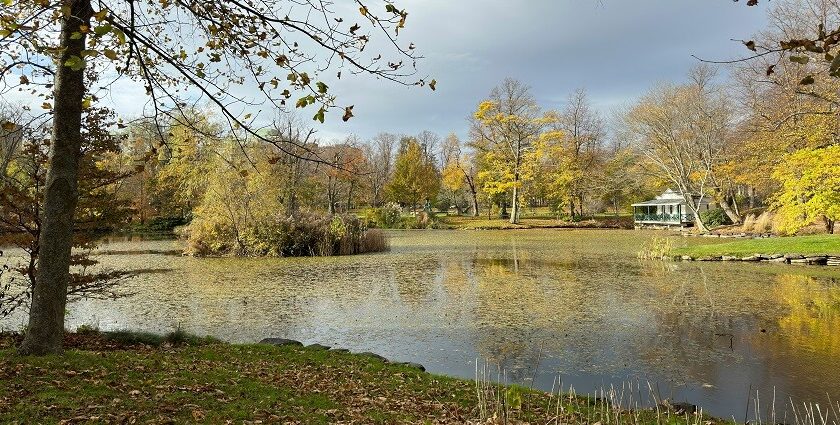 A glimpse of a verdant garden decked with lush green vegetation and azure waters.