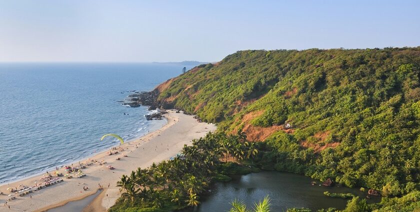 A bird’s eye view of the pristine golden sands, glistening waters and tall palm trees.