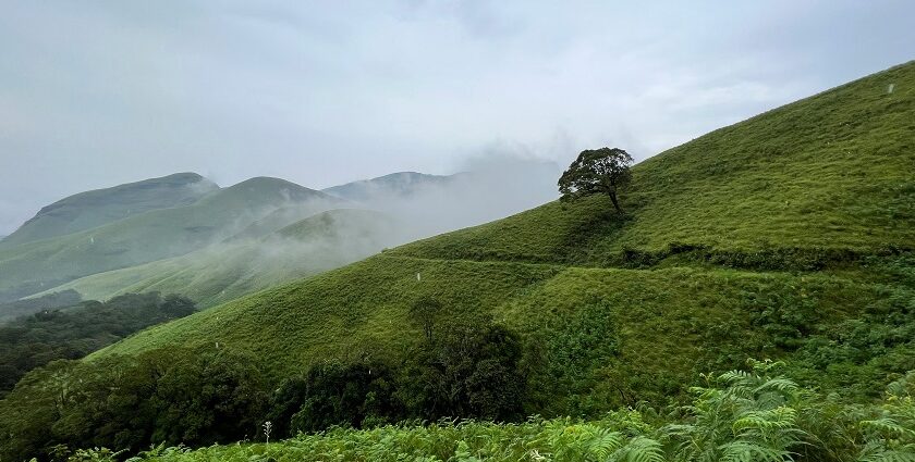 An image of Kuduremukha Peak Trek which is one of the most iconic treks of Karnataka.