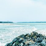 A scenic view of Kodi Beach, showcasing a shoreline scattered with colourful sea shells.