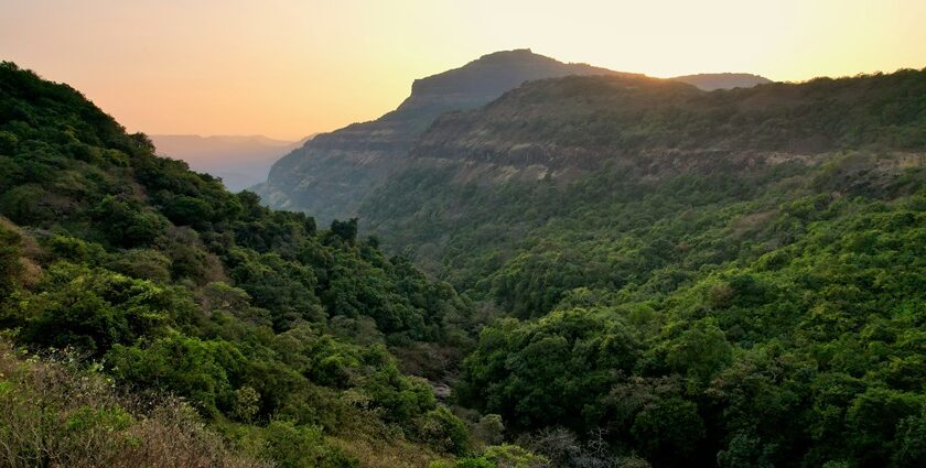 Explore places to visit in Lonavala in summer with lush greenery and adventure