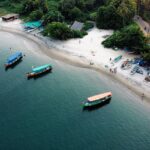 Palm trees at Morjim, North Goa from a bird’s eye view for every traveller to explore.